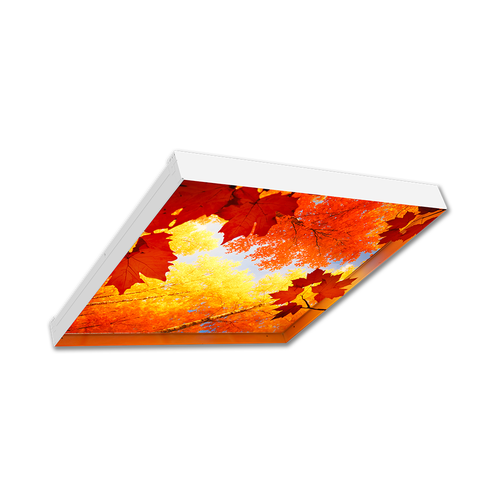 Product image for LED - 3D Architectural Recessed Graphic Troffer